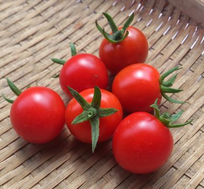 ダイエットに役立つ トマトからリコピンを上手に摂取するテクニック Tvで紹介されたダイエット情報